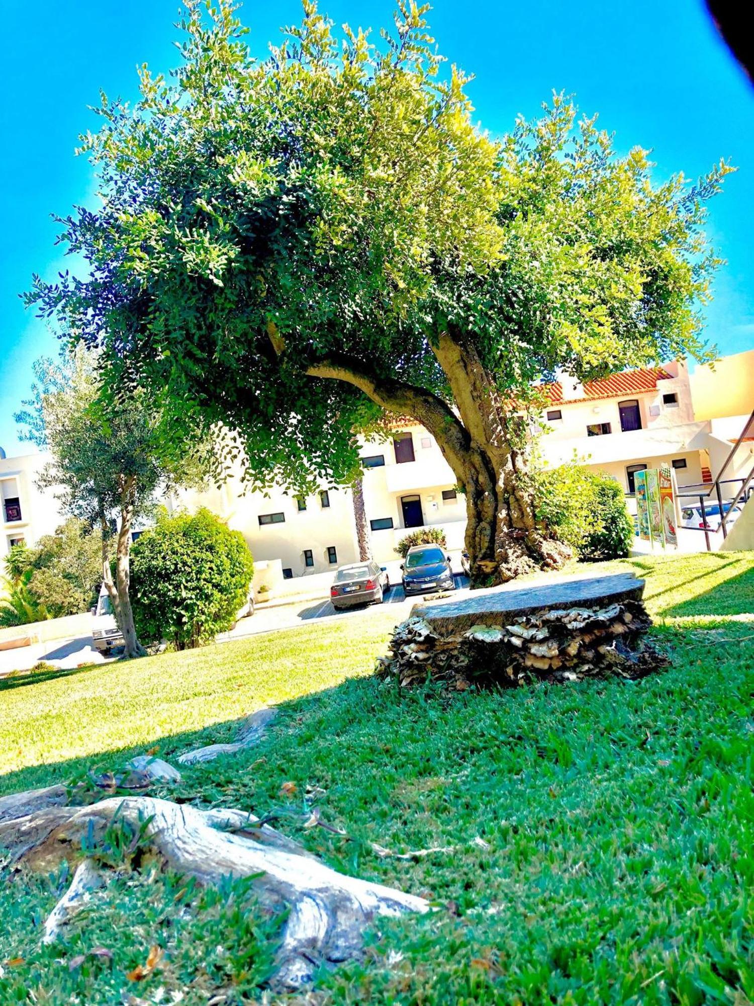 Albufeira Jardim - Apartamentos Turisticos Kültér fotó