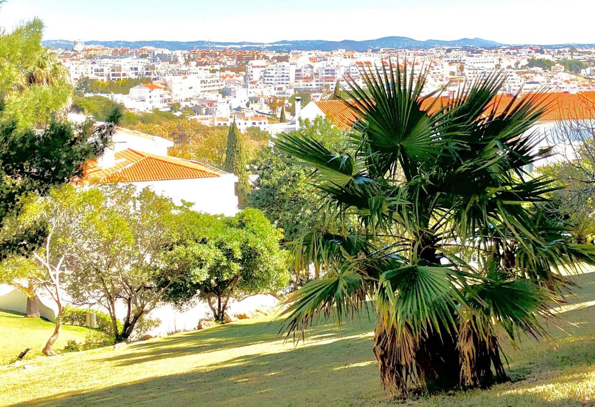 Albufeira Jardim - Apartamentos Turisticos Kültér fotó