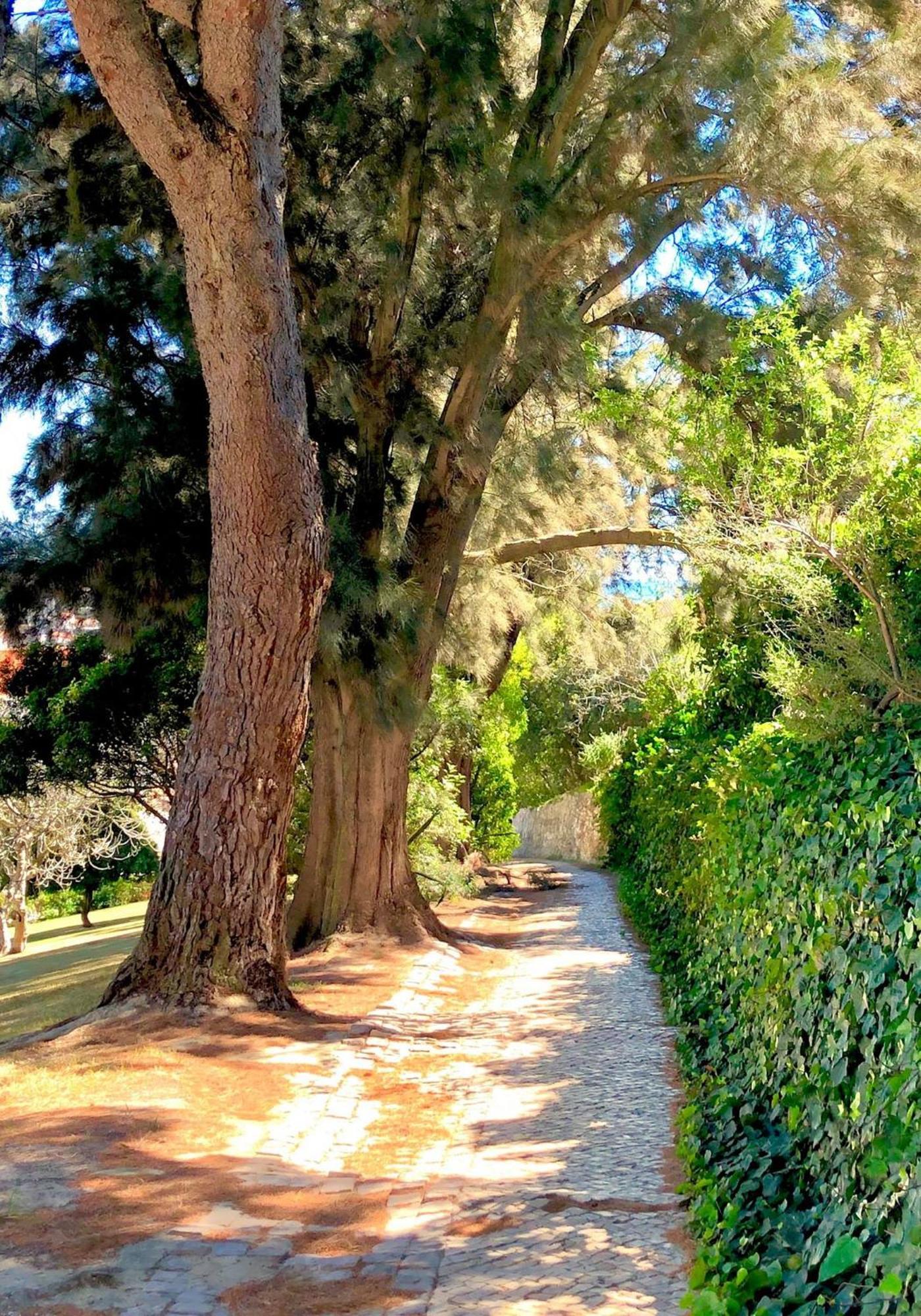 Albufeira Jardim - Apartamentos Turisticos Kültér fotó